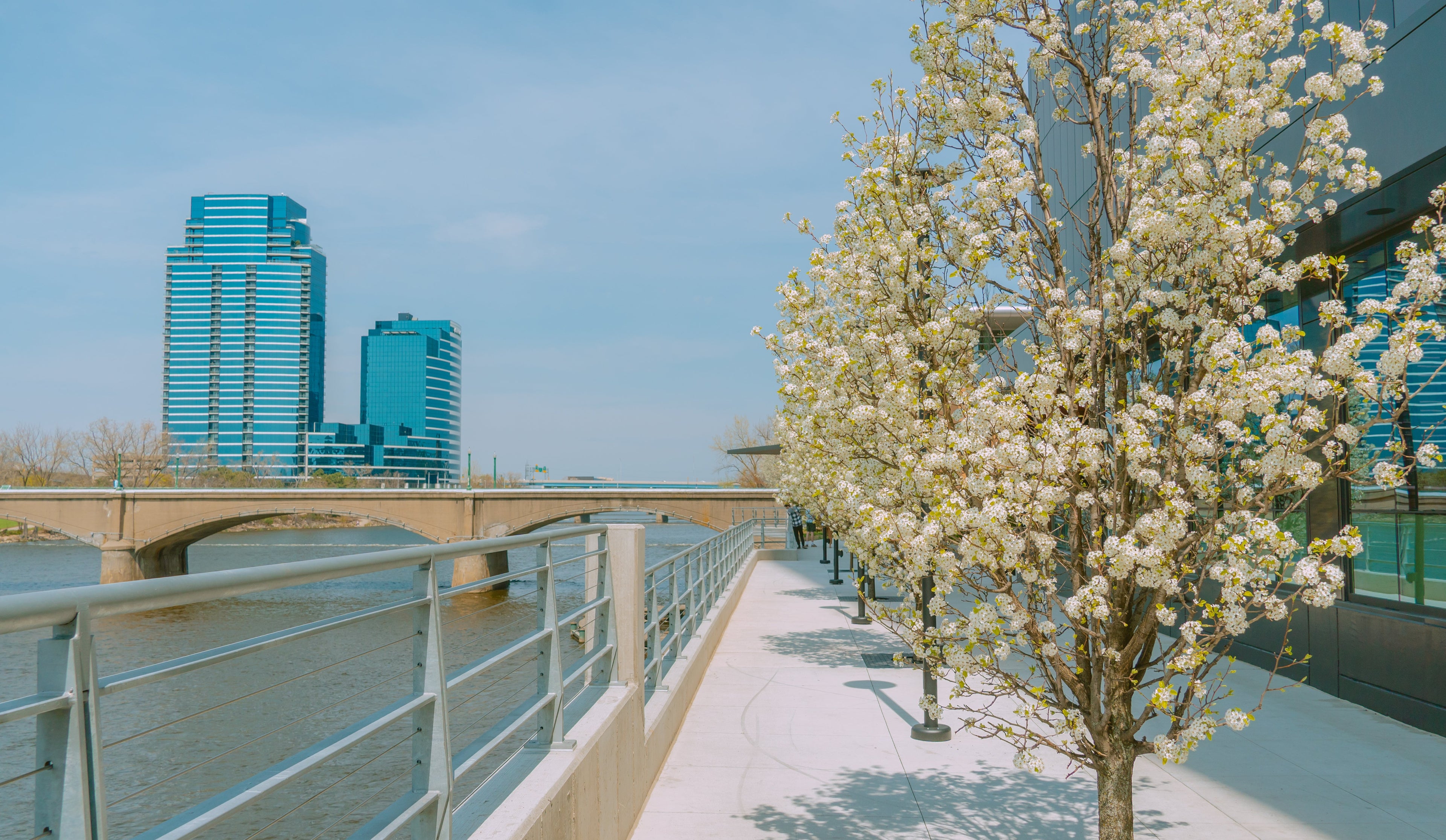 Cityscape of Grand Rapids Michiganwith modern buildings and a flowering tree on a sunny day.